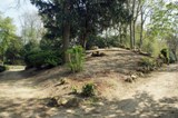 La butte de la gloriette avant amnagement par les Jardiniers de Beausjour