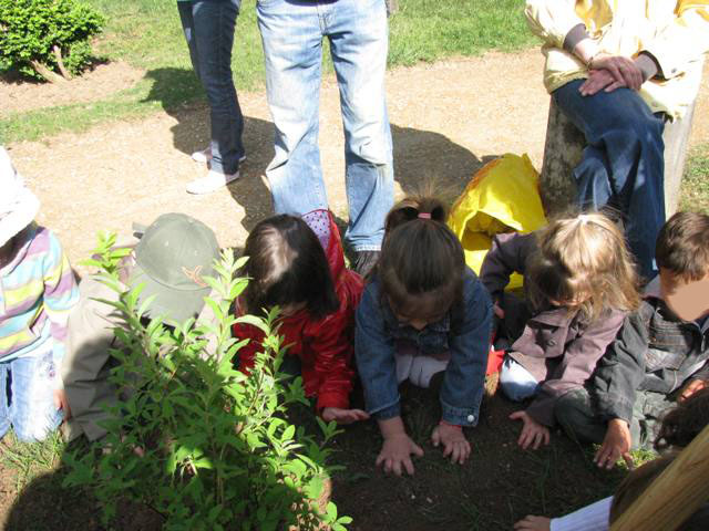 atelier-jardinage